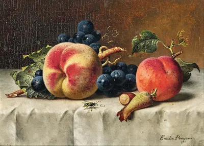 Still Life with Peaches, Grapes, Hazelnut and a Wasp by Emilie Preyer — digital art print download