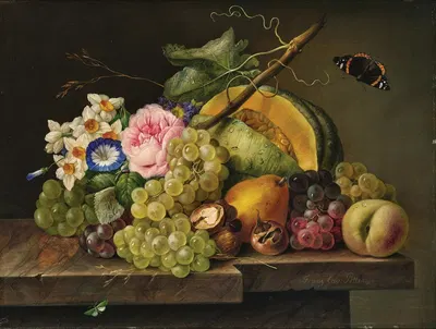 Still Life with Grapes, Pumpkin, Pear, Walnuts, Rose, Daffodils, and Butterfly by Franz Xaver Petter — digital art print…
