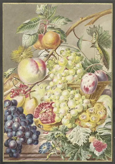 Fruitstuk by Cornelis Ploos van Amstel, 1777 — digital art print download