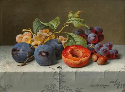 Still Life with Fruit by Emilie Preyer — digital art print download