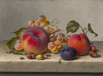 Still life with peaches, plums, grapes and hazelnuts on a tabletop by Emilie Preyer — digital art print download