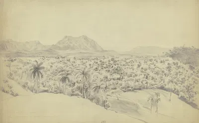 Blick auf den Pan de Guajaibón auf Kuba by Адольф Хёффлер, 1852 — digital art print download