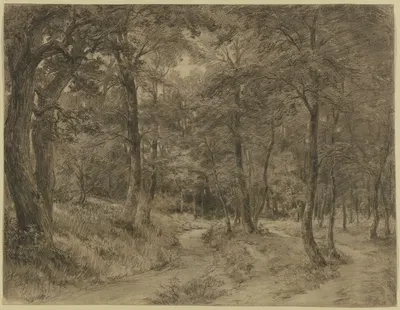 Forest path by Adolf Hoeffler — digital art print download