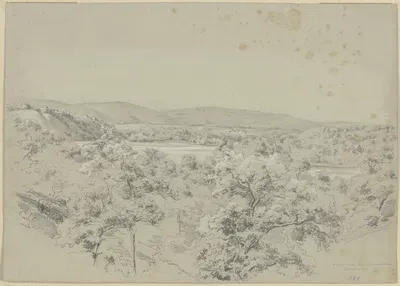 Wisconsin River, above Prairie du Soc by Адольф Хёффлер, 1852 — digital art print download