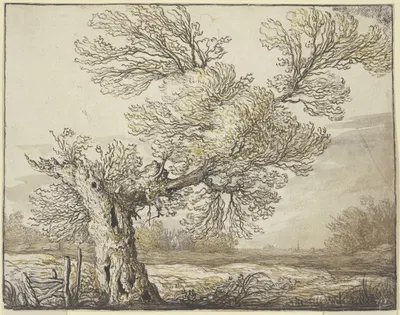 Landscape near Dordrecht by Аельберт Кёйп — digital art print download