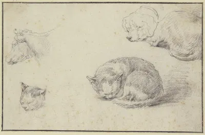 Schlafende Katze und Hund, ein Kuhkopf und ein Katzenkopf by Аельберт Кёйп — digital art print download