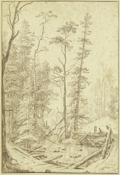 Partie in einem Tannenwald mit Wasser und einer Brück by Albert Meyeringh — digital art print download