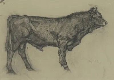 Stier nach rechts stehend by Альфред Шнаарс — digital art print download