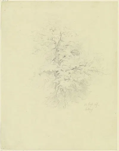 Tree in Seckbach by Angilbert Göbel, 1847 — digital art print download