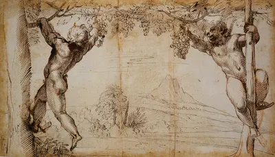 Two Young Satyrs picking Grapes by Annibale Carracci — digital art print download