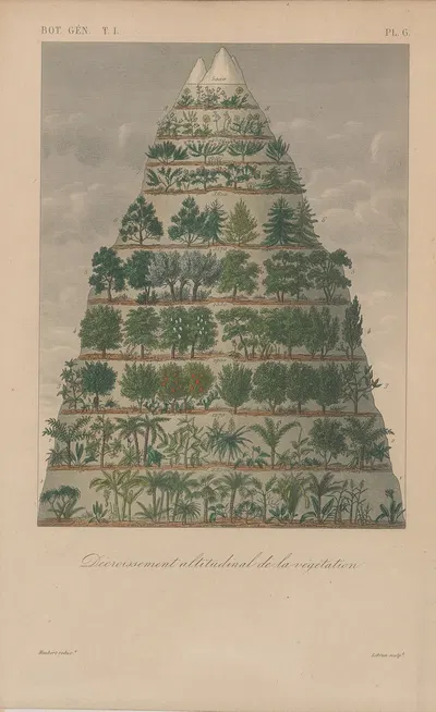 Traité de botanique générale Pl.006 by François Hérincq — digital art print download