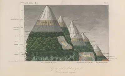 Traité de botanique générale Pl.007 by François Hérincq — digital art print download