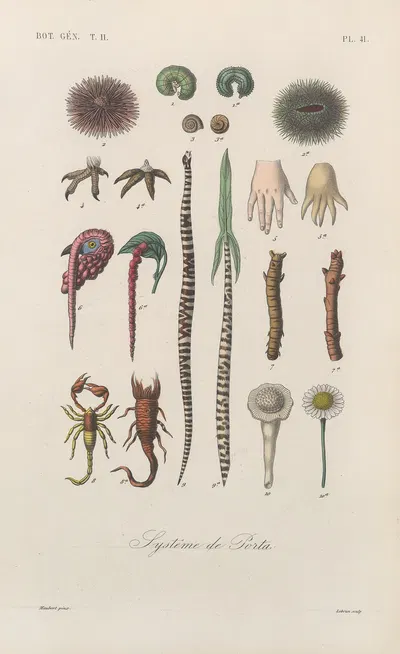 Traité de botanique générale Pl.092 by François Hérincq — digital art print download