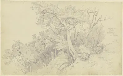 Edge of the forest near Olevano by Август Лукас, 1830 — digital art print download