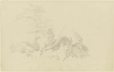 Exposed tree root by August Lucas, 1830-1831 — digital art print download