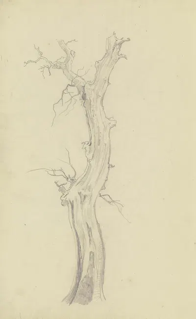 Leafless tree by Август Лукас, 1830 – 1831 — digital art print download