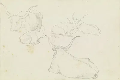 Resting cattle by Август Лукас, 1830 — digital art print download