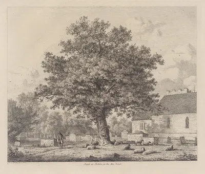 Maple in Boldre Church-Yard by Jacob George Strutt, 1826 — digital art print download