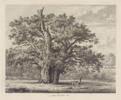 Queen Elizabeth’s Oak by Jacob George Strutt, 1826 — digital art print download