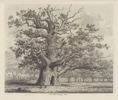 Sir Philip Sidney’s Oak by Jacob George Strutt, 1826 — digital art print download