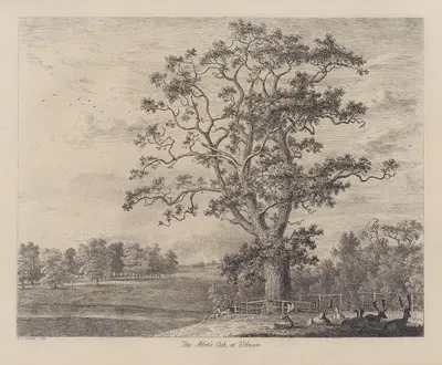 The Abbot’s Oak by Jacob George Strutt, 1826 — digital art print download