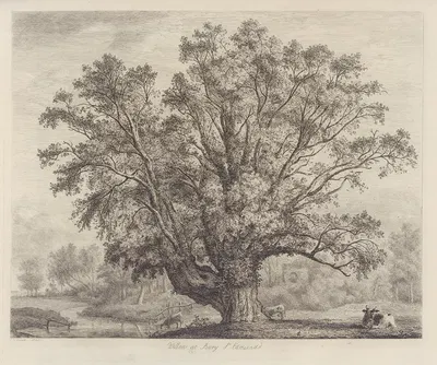 The Abbot’s Willow by Jacob George Strutt, 1826 — digital art print download