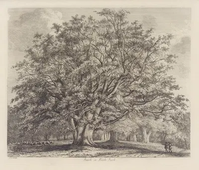 The Beech Tree at Knole by Jacob George Strutt, 1826 — digital art print download