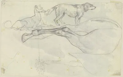 Studie zu einem Pferdeschenkel und zwei Hunden by Август Лукас — digital art print download
