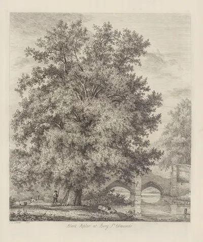 The Black Poplar at Bury St. Edmund’s by Jacob George Strutt, 1826 — digital art print download