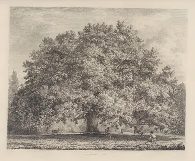 The Chandos Oak by Jacob George Strutt, 1826 — digital art print download