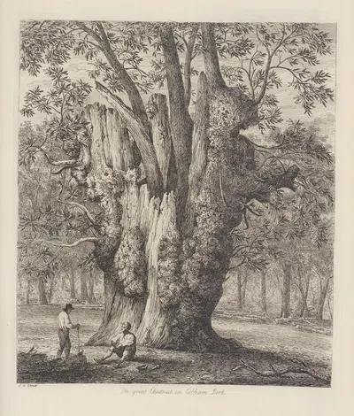 The Chesnut Tree Called The Four Sisters by Jacob George Strutt, 1826 — digital art print download