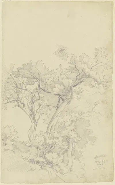 Trees near Olevano by Август Лукас, 1830 — digital art print download