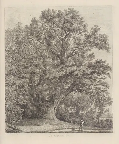 The Chipstead Elm by Jacob George Strutt, 1826 — digital art print download