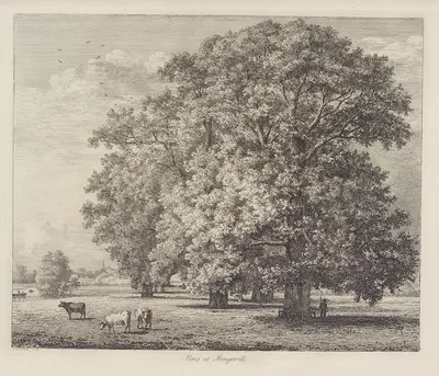 The Elms at Mongewell by Jacob George Strutt, 1826 — digital art print download