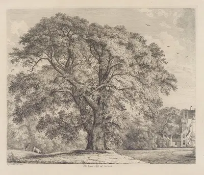 The Great Ash at Carnock by Jacob George Strutt, 1826 — digital art print download