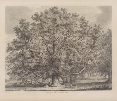 The Great Ash At Woburn by Jacob George Strutt, 1826 — digital art print download