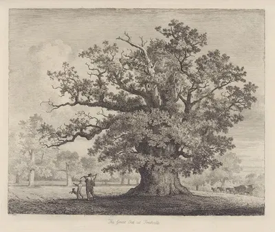 The Great Oak at Fredville by Jacob George Strutt, 1826 — digital art print download