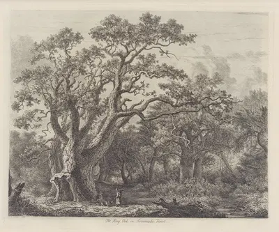 The King Oak In Savernake Forest by Jacob George Strutt, 1826 — digital art print download