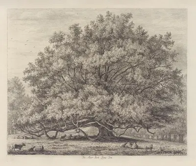 The Moor Park Lime Tree by Jacob George Strutt, 1826 — digital art print download