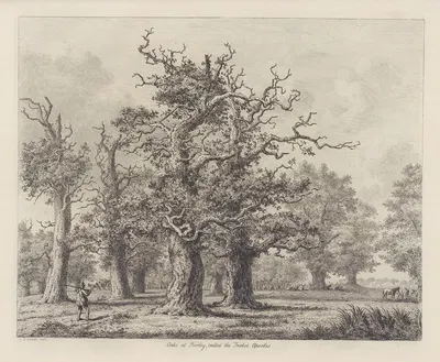 The Oaks at Burley, called the Twelve Apostles by Jacob George Strutt, 1826 — digital art print download