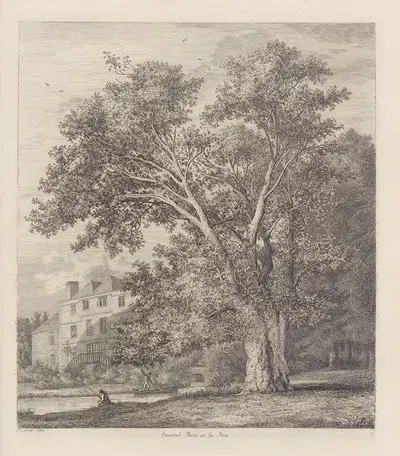 The Plane Tree At Lee Court by Jacob George Strutt, 1826 — digital art print download