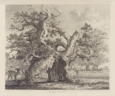 The Salcey Forest Oak by Jacob George Strutt, 1826 — digital art print download