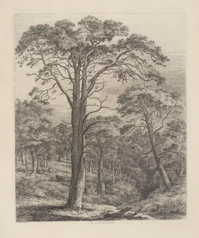 The Scotch Fir at Dunmore by Jacob George Strutt, 1826 — digital art print download
