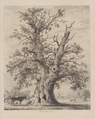 The Shelton Oak by Jacob George Strutt, 1826 — digital art print download