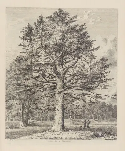 The Silver Fir at Roseneath by Jacob George Strutt, 1826 — digital art print download