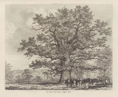The Squitch Bank Oak by Jacob George Strutt, 1826 — digital art print download