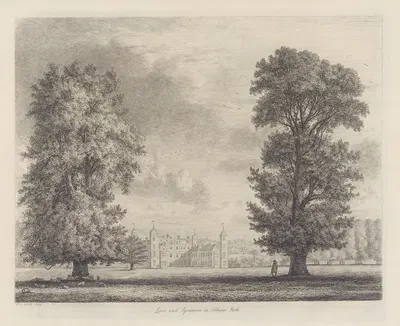 The Sycamore and Lime in Cobham Park by Jacob George Strutt, 1826 — digital art print download