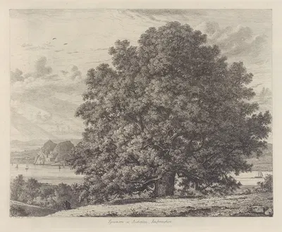 The Sycamore at Bishopton by Jacob George Strutt, 1826 — digital art print download