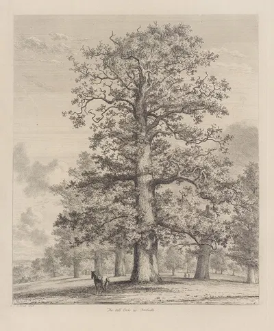 The Tall Oak at Fredville by Jacob George Strutt, 1826 — digital art print download