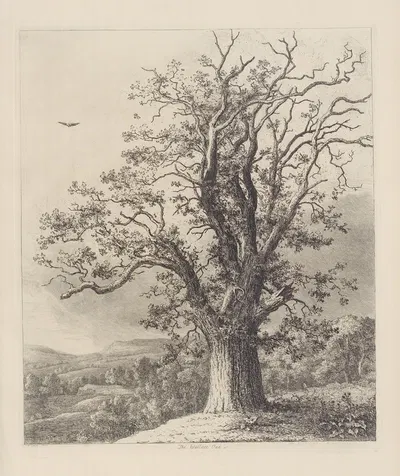 The Wallace Oak by Jacob George Strutt, 1826 — digital art print download